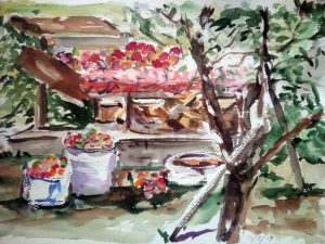 watercolour painting of orchard in russian countryside by artist roy munday, teaches art in liverpool and merseyside